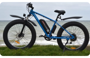 Електрофетбайк SKYBIKE Calcutta (750W): потужність, надійність і свобода руху