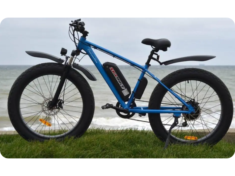 Електрофетбайк SKYBIKE Calcutta (750W): потужність, надійність і свобода руху