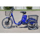 Електровелосипед SKYBIKE 3-CYCL (350W-36V)