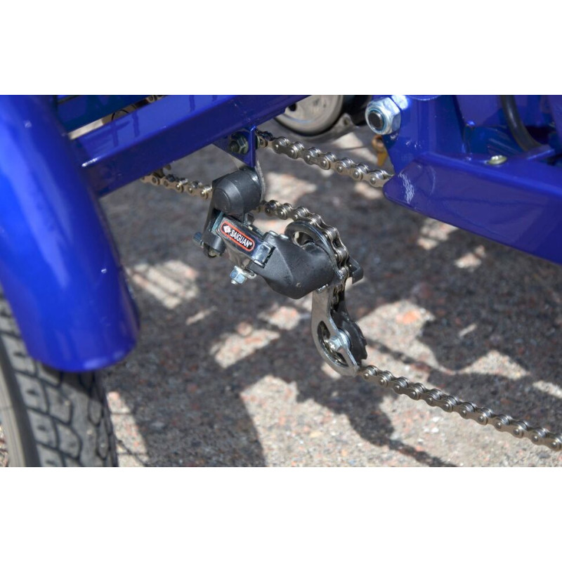 Електровелосипед SKYBIKE 3-CYCL (350W-36V)
