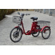 Електровелосипед SKYBIKE 3-CYCL (350W-36V)