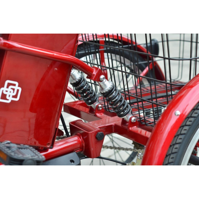 Електровелосипед SKYBIKE 3-CYCL (350W-36V)