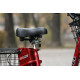 Електровелосипед SKYBIKE 3-CYCL (350W-36V)