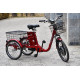 Електровелосипед SKYBIKE 3-CYCL (350W-36V)