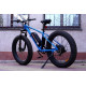Електро фетбайк SKYBIKE Calcutta (750W)