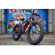 Електро фетбайк SKYBIKE Calcutta (750W)