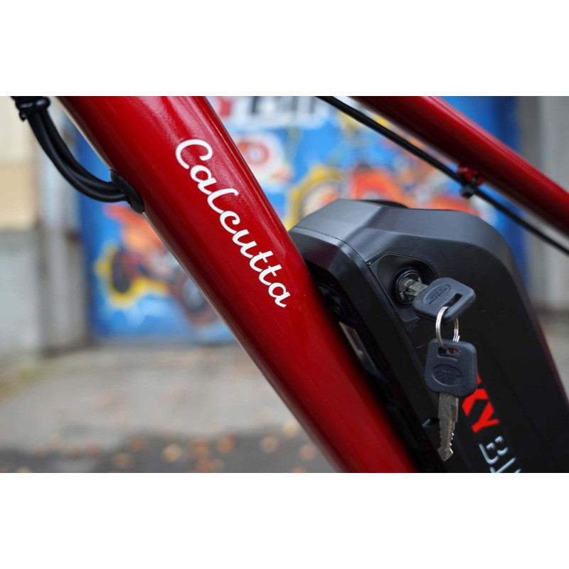 Електро фетбайк SKYBIKE Calcutta (750W)
