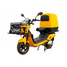 City Cat Delivery II з двома батареями